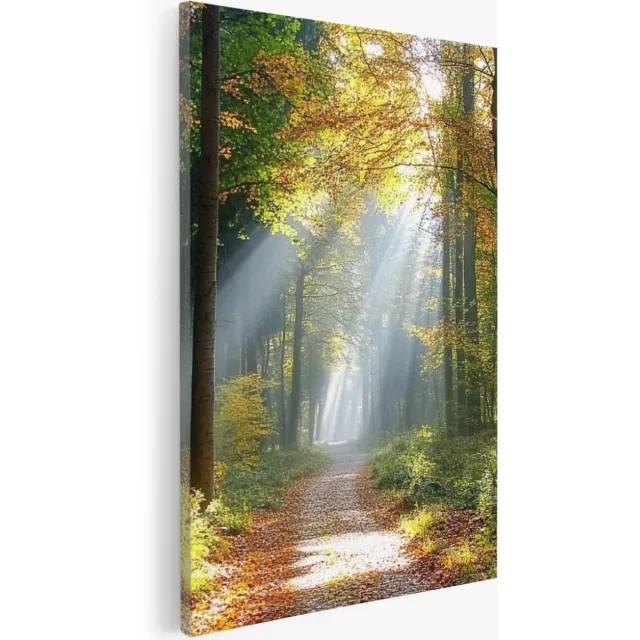 Saammp Canvas Schilderij - Botanisch - Bospad - Herfstachtig - Landschap - Natuur - 100x150 - Foto op canvas - Wanddecoratie - Muurdecoratie Woonkamer - Slaapkamer decoratie - Canvas Print Multicolor