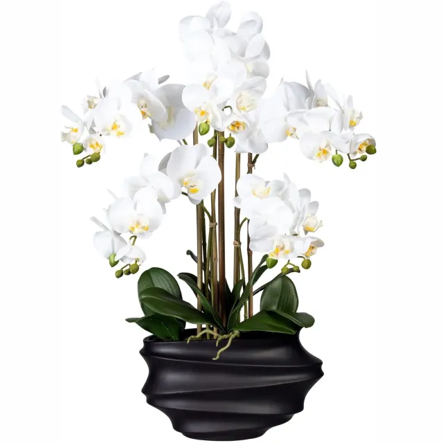 Kopu Kunstorchidee 75 cm - Wit - Zwarte vaas - Phalaenopsis