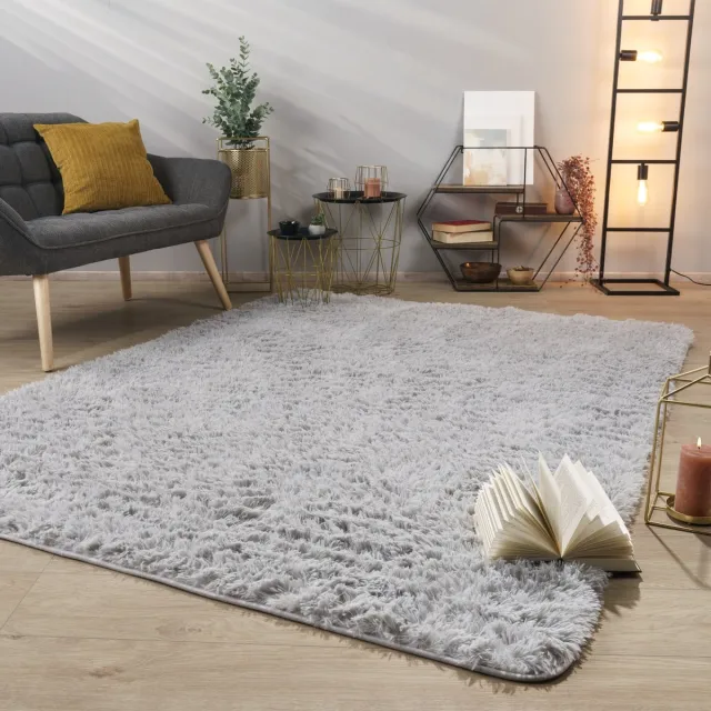 TT Home Tapijt Woonkamer Diepe Pool Lange Pool Zacht Modern Monochroom Design 60 x 100 cm Rechthoek 60 x 100 cm Rechthoek zilver