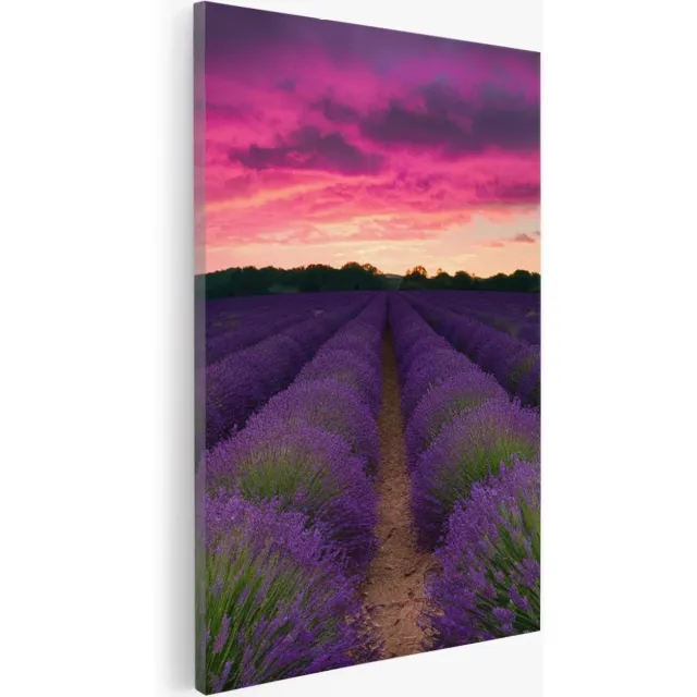 Saammp Canvas Schilderij - Lavendel met paarse lucht - Landschap - Natuur - 40x50 - Foto op canvas - Wanddecoratie - Muurdecoratie Woonkamer - Slaapkamer decoratie - Canvas Print Multicolor
