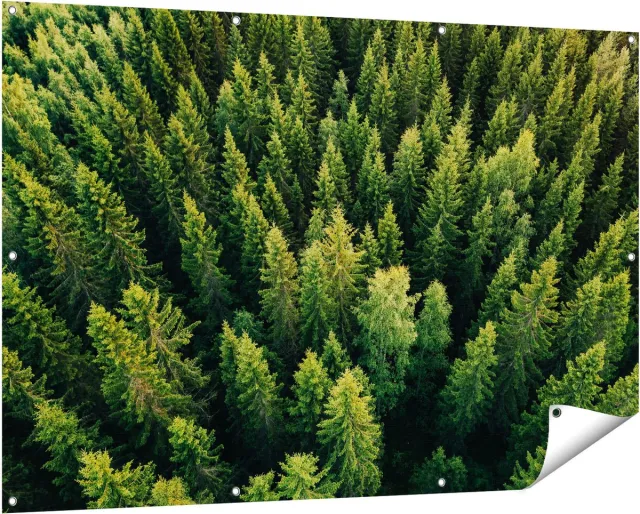 Gards Tuinposter Bos met Bomen vanaf Boven - 150x100 cm - Tuindoek - Tuindecoratie - Wanddecoratie buiten - Tuinschilderij Multikleur