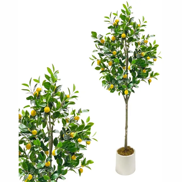 Danky Nep citroenplant 180 cm met gele vruchten - Complete kunstboom in witte pot met mos - Mediterrane sfeer zonder onderhoud Groen