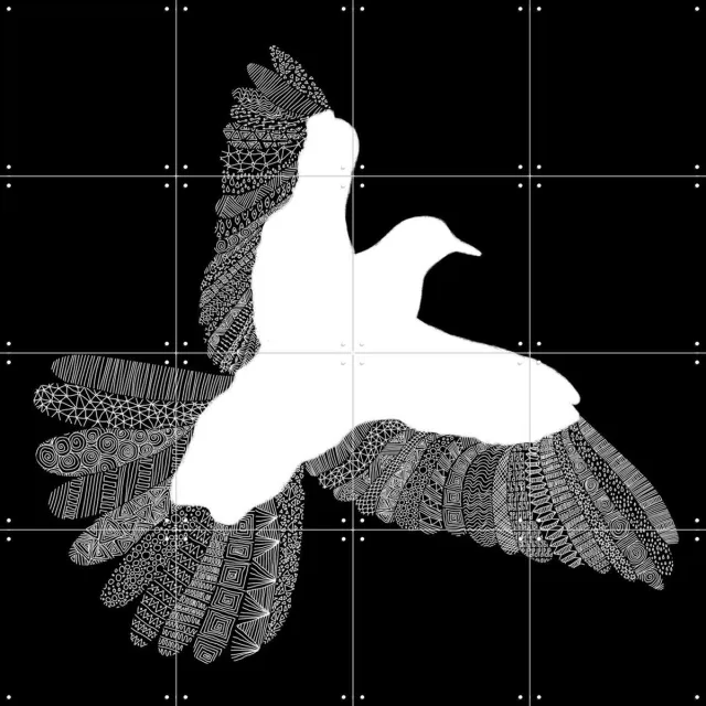 IXXI Bird, Florent Bodart - 80 x 80 cm - Grote wanddecoratie en posters - Grafisch Ontwerp, Minimalisme, Illustraties, Line art, Woonkamer, Natuur Monochroom / Zwart en wit / Wit