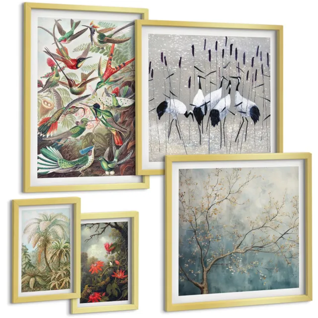 Coloray 5-Delige Schilderij Set - Tropische Vogels En Planten In Vintage Stijl - 50 x 50 cm, 20 x 30 cm En 40 x 60 cm - Wanddecoratie - Moderne Interieurdecoratie - Muurdecoratie Gouden lijst