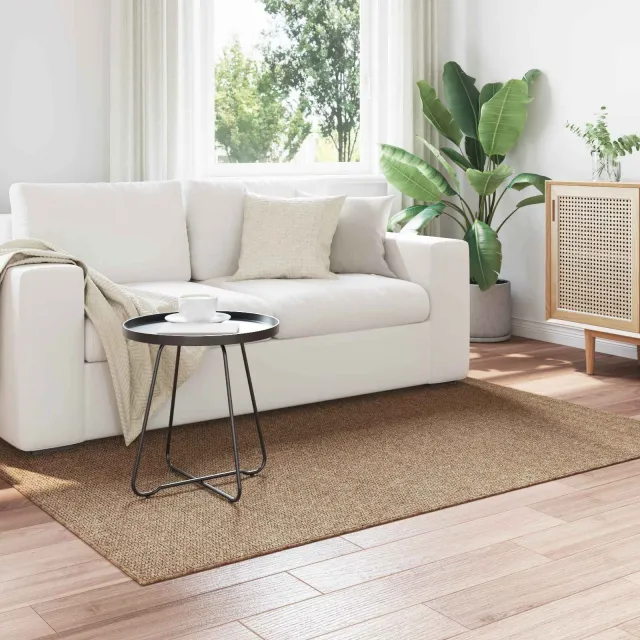 vidaXL Binnen- en buitentapijt AGIRA Naturel 170 x 120 cm Polyester, foto 2