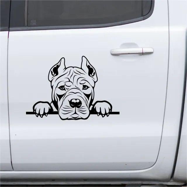 Alleenmaarstickers.com 6 Raamstickers / autostickers American pitbull - transparante zelfklevende sticker - 1 x 35cm, 1 x 25cm en 4 x 15cm, uitgesneden sticker - honden sticker - zwarte opdruk