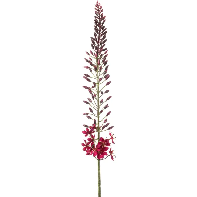 Emerald Kunstbloem Eremurus 108cm bordeaux - Kunstplant voor binnen