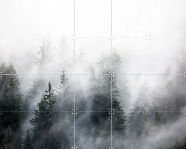 IXXI Foggy Woods 6, Mareike Böhmer - 100 x 80 cm - Grote wanddecoratie en posters - Grafisch Ontwerp, Naturalisme, Fotografie, Woonkamer, Slaapkamer Grijs / Donkere tinten