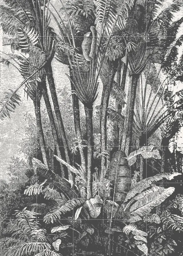 IXXI Palms in Water, Aster Edition - 100 x 140 cm - Grote wanddecoratie en posters - Naturalisme, Illustraties, Vintage, Houtsnede, Slaapkamer Monochroom / Groen / Zwart en wit