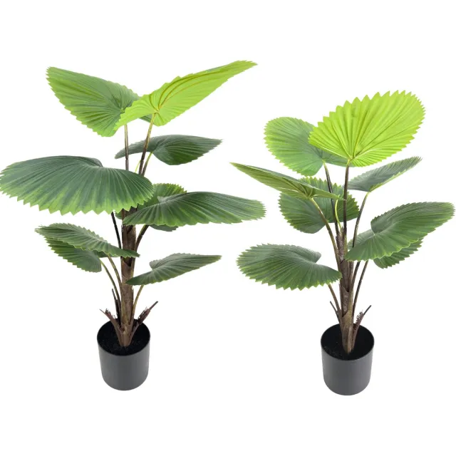 PrettyPlants 2st. Kunst Waaierpalmen (90cm & 75cm) | Kunstplanten voor binnen | 2 Kunstpalmen | Fanpalm Nepplant | Palm Kunstplant Groen