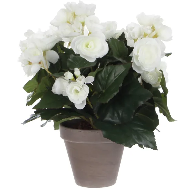Mica Decorations Kunstplant mica begonia wit in pot stan grijs | 6 stuks
