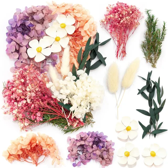 Famanu Natuurlijke gedroogde bloemen gemengd voor kunst en scrapbooking 10 stuks