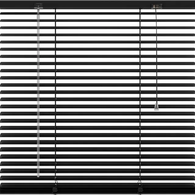 BloomTheRoom aluminium Jaloezie 25mm - Zwart - 100x180 cm