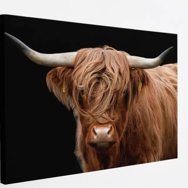 Saammp Canvas Schilderij - Schotse Hooglander Koe - Natuur - Dieren - Portret - 90x60 - Foto op canvas - Wanddecoratie - muurdecoratie Woonkamer - Slaapkamer decoratie - Canvas Print Multicolor