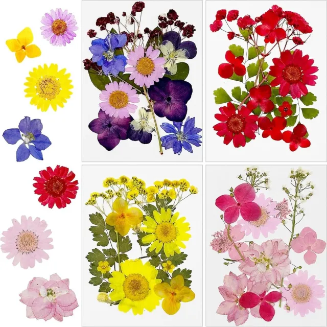 Cosensi Gedroogde bloemen voor hars - DIY kaarsen en sieraden - 48 stuks