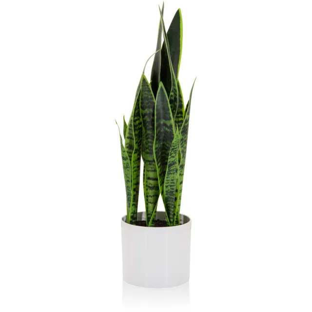hjh office Kunstplant / Kunstboom SANSEVIERIA groen hjh OFFICE