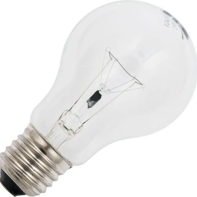 Schiefer Lighting Standaardlamp 40W E27 helder 220-240v OVEN 300graden