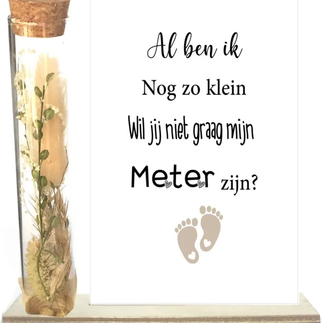 Stars 4 you Droogbloemen in buisje | METER | taupe | al ben ik nog zo klein | meter vragen | meter worden