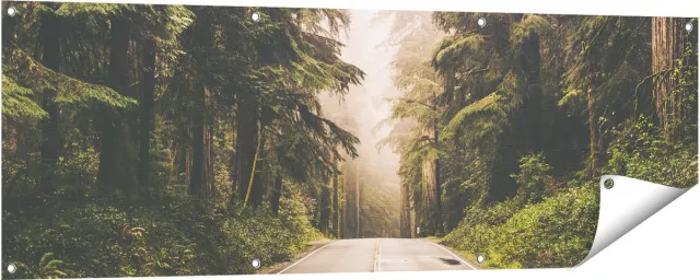 Gards Tuinposter Highway in Californië Omring met Bos - 150x50 cm - Tuindoek - Tuindecoratie - Wanddecoratie buiten - Tuinschilderij Multikleur