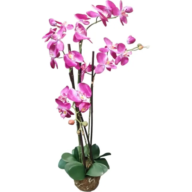Mica Decorations Kunstplant Phalaenopsis paars L67xB30xH102cm
