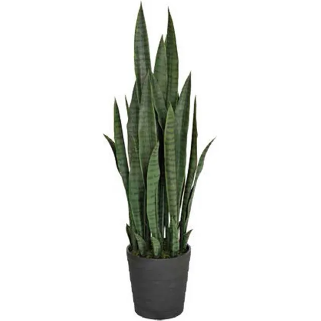 Intergard Kunstplanten Sansevieria vrouwentong 105cm groen