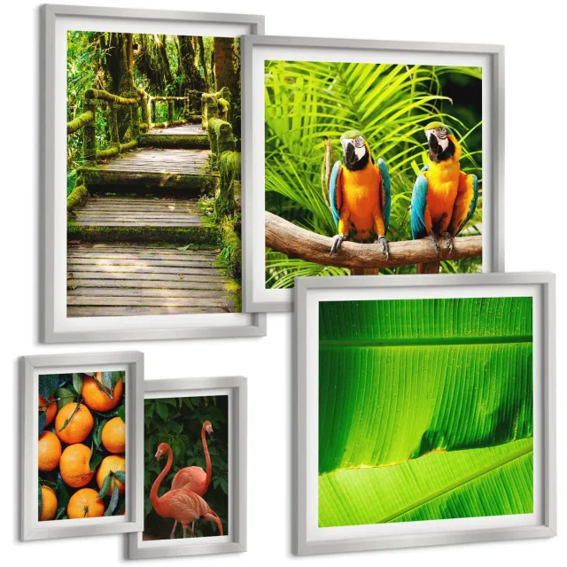 Coloray 5-Delige Schilderij Set - Fruitige Accenten Met Papegaaien En Flamingo'S In De Tropen - 20 x 30 cm - Stijlvolle Wanddecoratie - Interieur - Interieur Decoratie Zilveren lijst