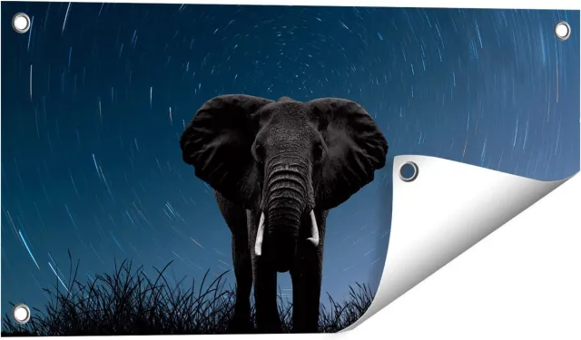Gards Tuinposter Olifant Omringd met Sterren - 60x30 cm - Tuindoek - Tuindecoratie - Wanddecoratie buiten - Tuinschilderij Multikleur