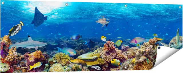 Gards Tuinposter Vissen met Koraalrif in de Oceaan - 150x50 cm - Tuindoek - Tuindecoratie - Wanddecoratie buiten - Tuinschilderij Multikleur