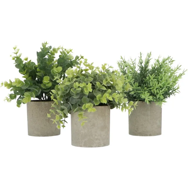 GreenDream Kunstplanten - Kleine kunstplanten - Kamerplanten - 3 stuks - Kunstplanten - +20cm hoogte Groen