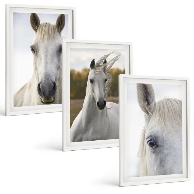 Coloray 3-Delige Schilderij Set - Witte Paarden In Verschillende Houdingen Tegen Een Natuurlijke Achtergrond. - 40 x 60 - Muurdecoratie - Interieur Decoratie - Wanddecoratie Witte lijst