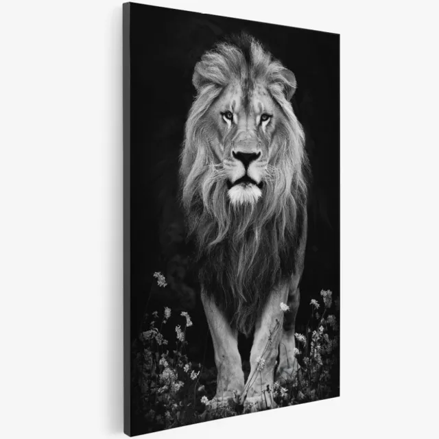 Saammp Canvas Schilderij - Leeuw - Bloemen - Abstract - Dieren - 50x70 - Foto op canvas - Wanddecoratie - Muurdecoratie Woonkamer - Slaapkamer decoratie - Canvas Print Multicolor