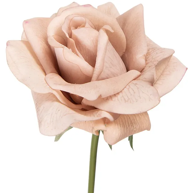 Clayre & Eef Kunstbloem Roos 35 cm Beige Kunststof