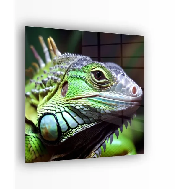 Indoorart Glasschilderij Leguaan 50x50 CM - Afbeelding op plexiglas - Inclusief montagemateriaal wit, groen, zwart, grijs