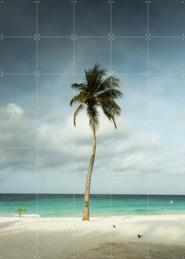 IXXI Whispering Palm Above The Caribbean Silence, Claire Droppert - 100 x 140 cm - Grote wanddecoratie en posters - Fotografie, Realisme, Naturalisme Blauw / Wit / Groen