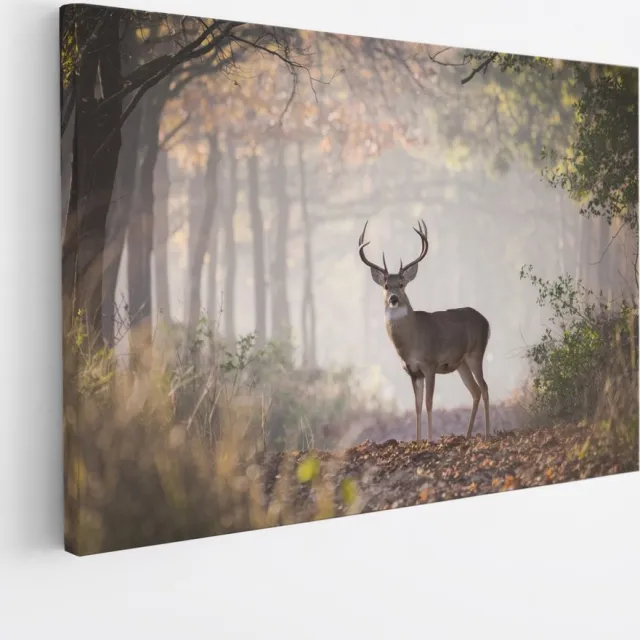 Saammp Canvas Schilderij - Hert in het bos - Natuur - Dieren - 70x50 - Foto op canvas - Wanddecoratie - Muurdecoratie Woonkamer - Slaapkamer decoratie - Canvas Print Multicolor