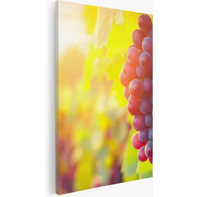 Saammp Canvas Schilderij - Druiventros in zonsondergang - Landschap - Natuur - 50x70 - Foto op canvas - Wanddecoratie - Muurdecoratie Woonkamer - Slaapkamer decoratie - Canvas Print Multicolor