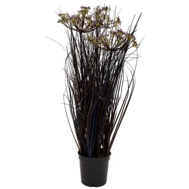 Oosterik Home Rietgras bordeaux H 50 cm kunstplant Oosterik Home onbekend