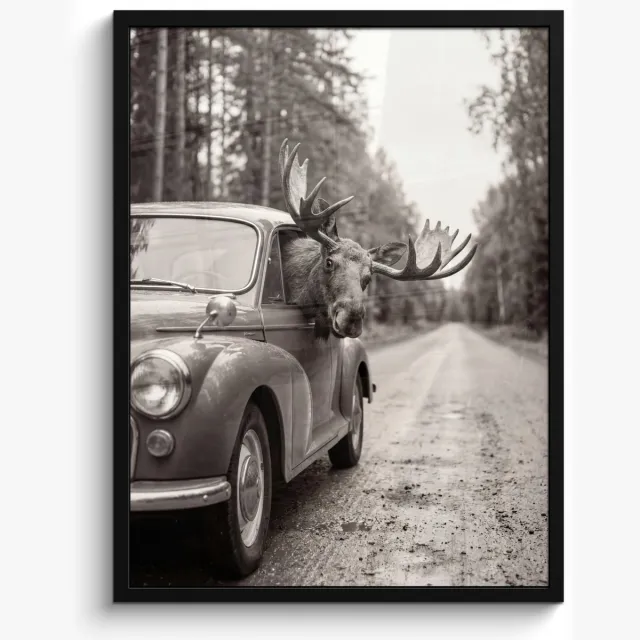 FrameYourWall Poster in lijst - Fotolijst 50x70 cm - Posters - Eland - Auto - Gewei - Zwart - Wit - Posterlijst zwart - Decoratie - Wanddecoratie woonkamer - Muurdecoratie slaapkamer