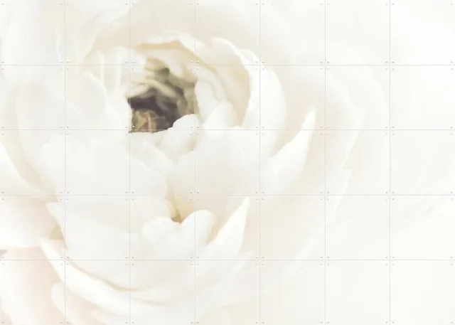 IXXI White Flower 02, 1x Studio II & Various - 140 x 100 cm - Grote wanddecoratie en posters - Realisme, Impressionisme, Slaapkamer, Gang, Woonkamer Wit