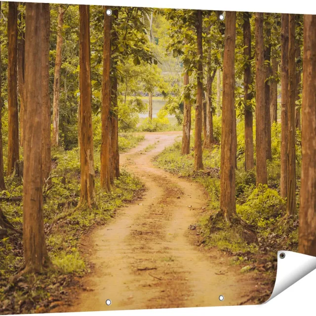 Gards Tuinposter Pad in het Bos met Bomen - 120x90 cm - Tuindoek - Tuindecoratie - Wanddecoratie buiten - Tuinschilderij Multikleur
