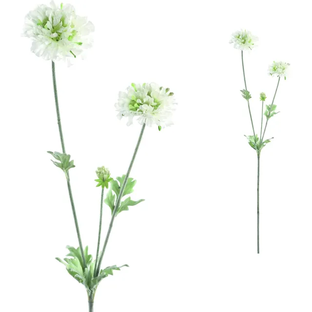 PTMD Garden Flower Scabiosa Kunsttak - 35 x 15 x 68 cm - Wit