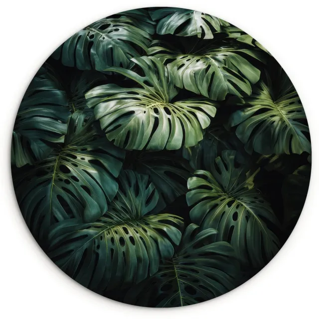 WallCircle Wandcirkel 90x90 cm - Muurcirkel Plant - Monstera - Lichtinval - Muurdecoratie woonkamer - Wanddecoratie slaapkamer - Kamer decoratie accessoires - Ronde schilderijen Bladeren - Glad