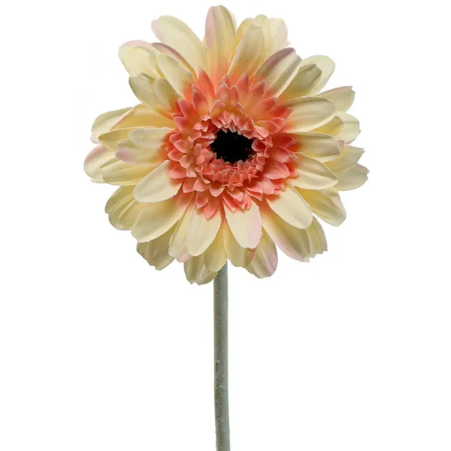 Viana Kunstbloem gerbera kunstbloem abrikoos Ø11cm L50cm Veelkleurig