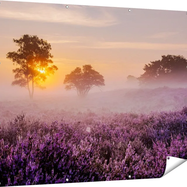 Gards Tuinposter Weide in de Veluwe bij Zonsondergang - 150x120 cm - Tuindoek - Tuindecoratie - Wanddecoratie buiten - Tuinschilderij Multikleur