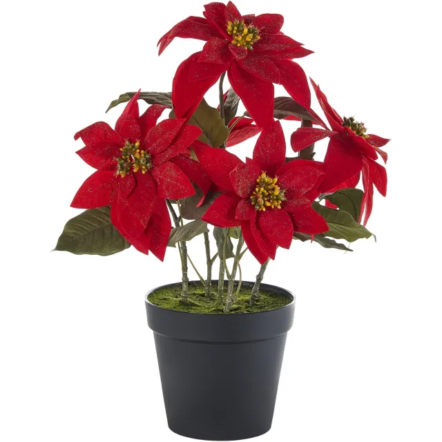 Beliani CHRISTMAS FLOWER - Kunstplant - Rood - Synthetisch materiaal