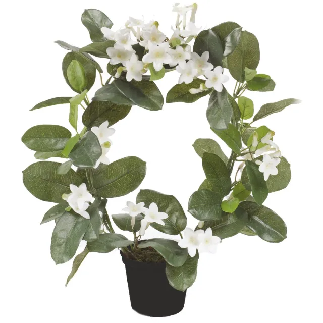 Emerald Kunstplant in pot Stephanotis Ring wit 40cm - Kunstplant voor binnen