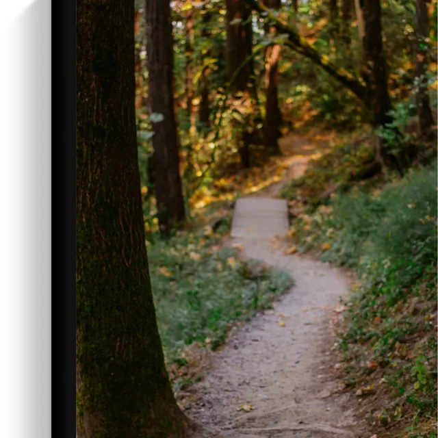 KuijsFotoprint Canvas - Pad in Bos met Bruggetje - 30x40cm Foto op Canvas Schilderij (Wanddecoratie op Canvas) Groen