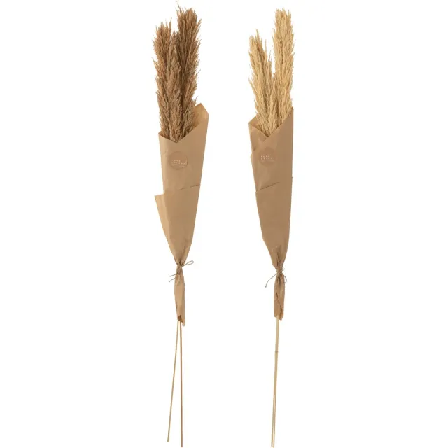 J-Line droogbloemen - Tak Veer Pampas - naturel - 2 stuks