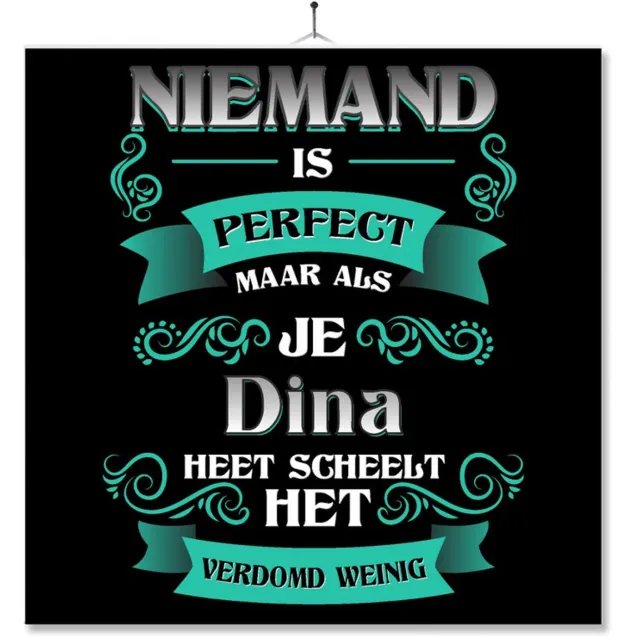 MC Living Tegel Met Opdruk | Kado | Cadeau | Niemand Is Perfect Maar Als Je Dina Heet Scheelt Het Verdomd Weinig Multi-Color