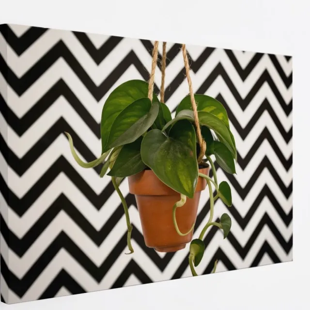 Saammp Canvas Schilderij - Hartvormige Bladplant in Pot - Natuur - Abstract - 120x80 - Foto op canvas - Wanddecoratie - Muurdecoratie Woonkamer - Kantoor Decoratie Multicolor